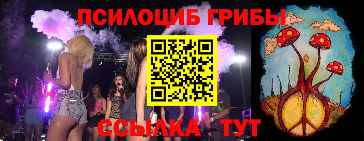 Горно-Алтайск  наркотики  Вход с VPN  Галлюциногенные грибы Psilocybe 